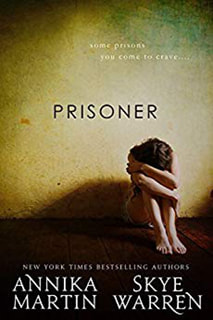Prisoner by Annika Martin and Skye Warren