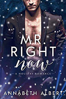 Mr. Right Now by Annabeth Albert