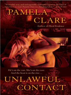 Unlawful Contact by Pamela Clare