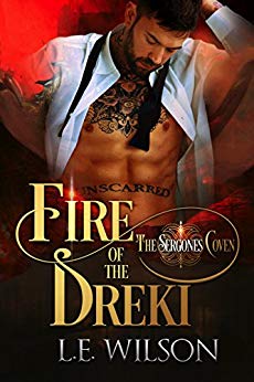 Fire of the Dreki by LE Wilson