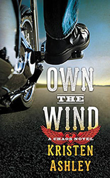 Own the Wind by Kristen Ashely