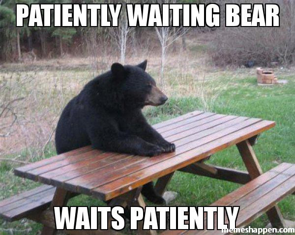 Patiently Waiting Bear