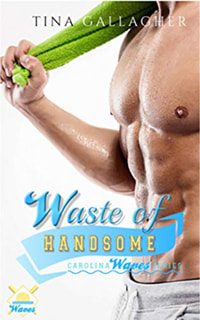 Waste of Handsome by Tina Gallagher